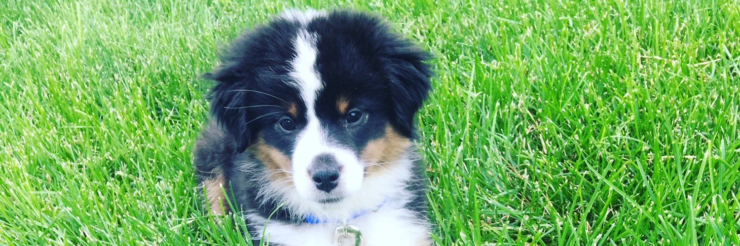 BGerbs35's profile banner image