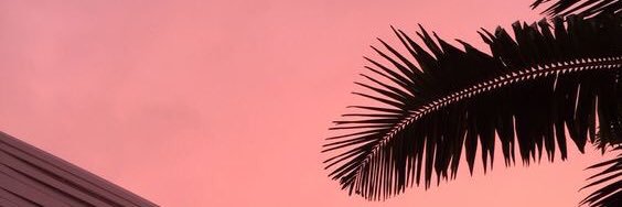 OlkaApple's profile banner image