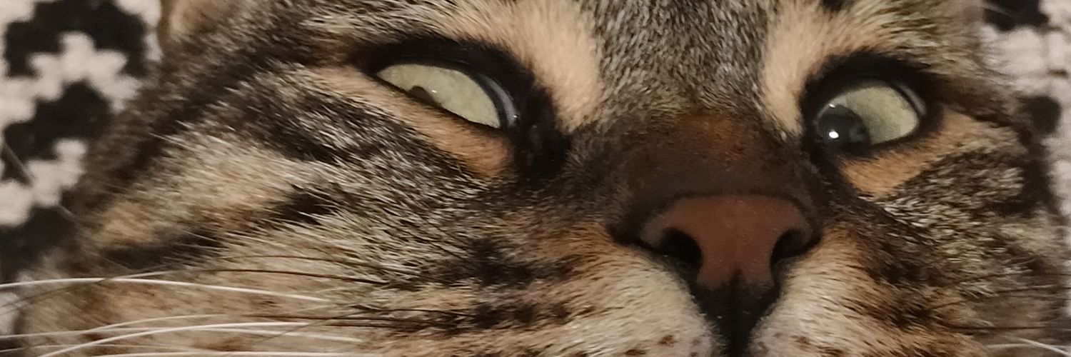 edanmore_'s profile banner image