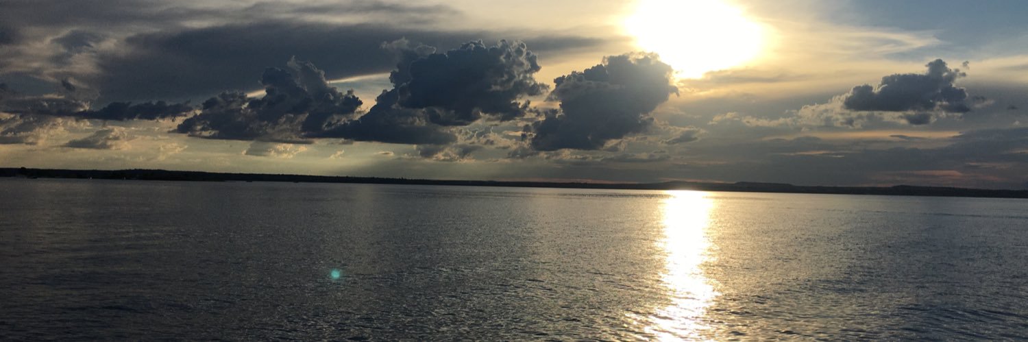 Maracervone's profile banner image