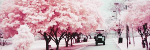 1DBelles321's profile banner image