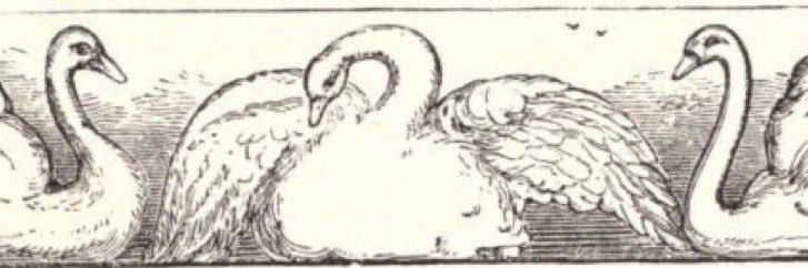 libertemnt's profile banner image