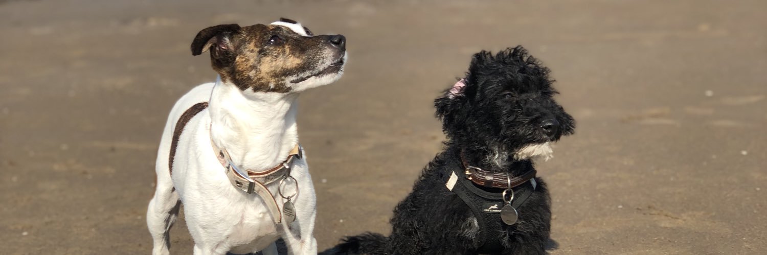 Kate_McCormackx's profile banner image