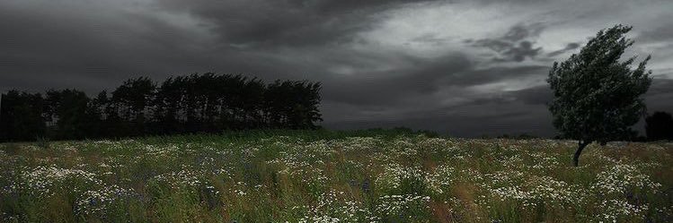 nathantelope's profile banner image