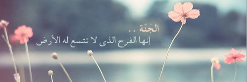 79nAlmuslem's profile banner image