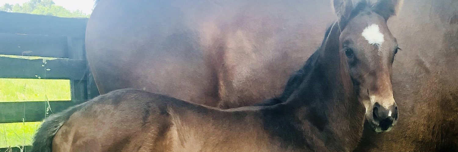 Tfaulkner12's profile banner image