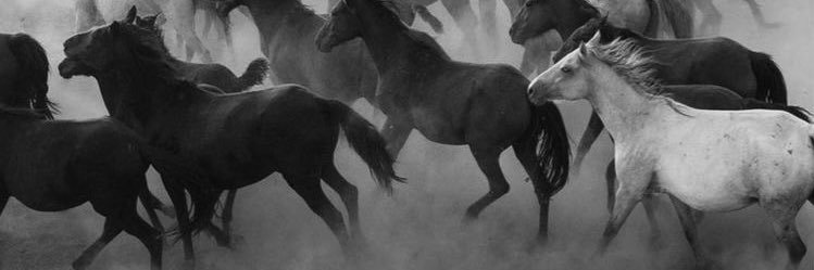 RachelForge4's profile banner image