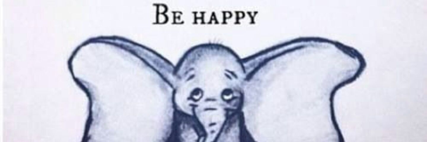 sofibarrionuev's profile banner image