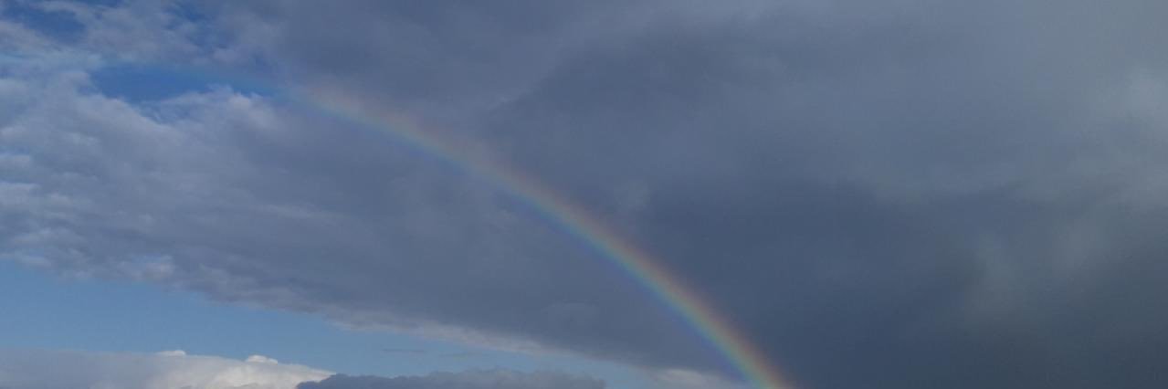 hasen38's profile banner image