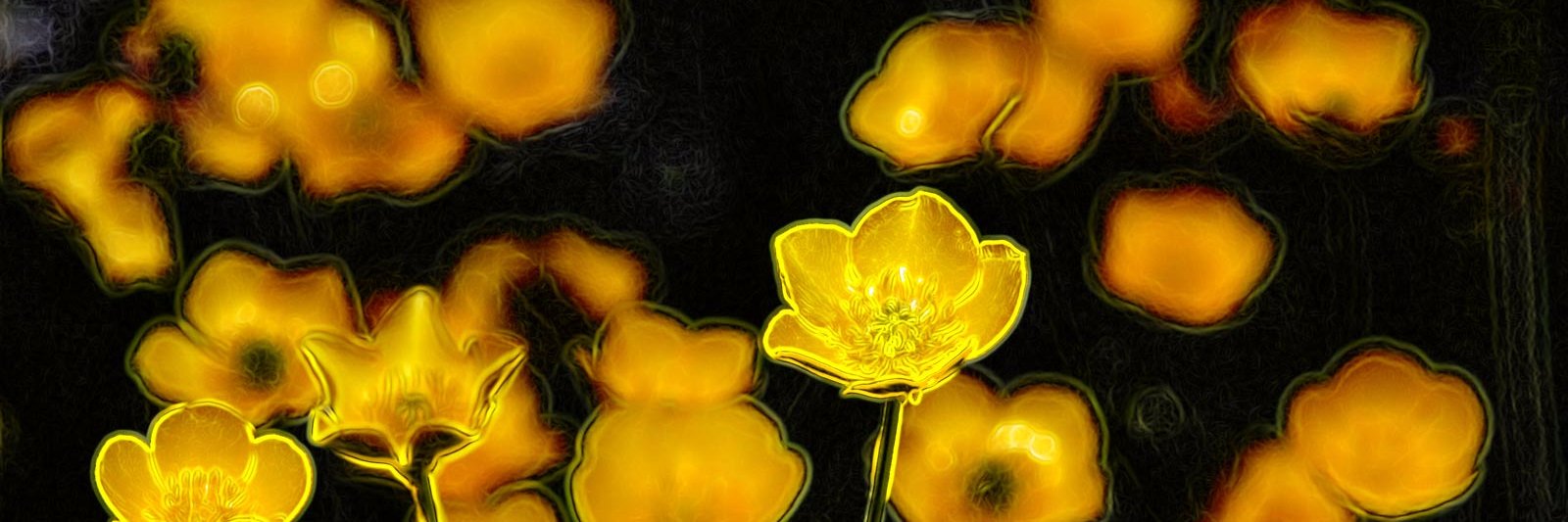 orchiew's profile banner image