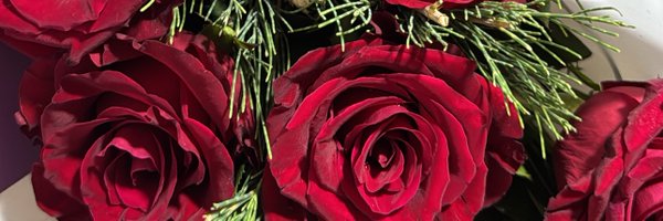 diahara_ Profile Banner