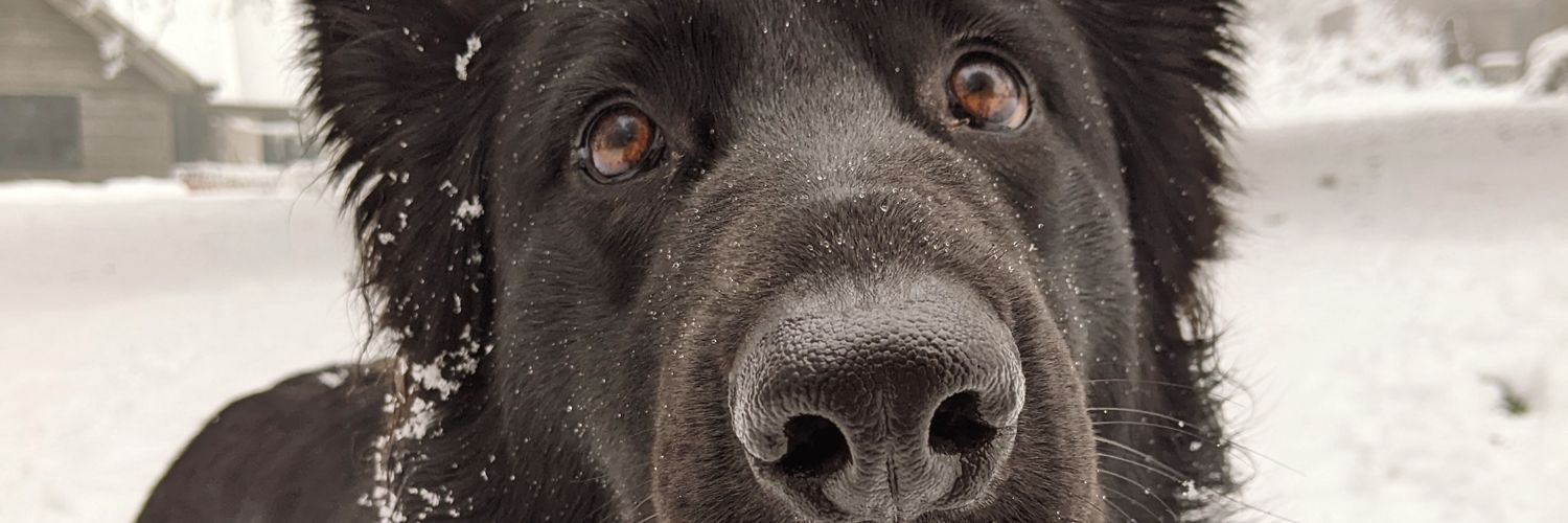 saaambody's profile banner image