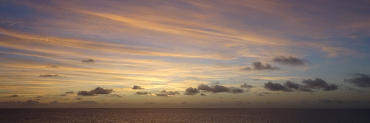 Alice Clay banner