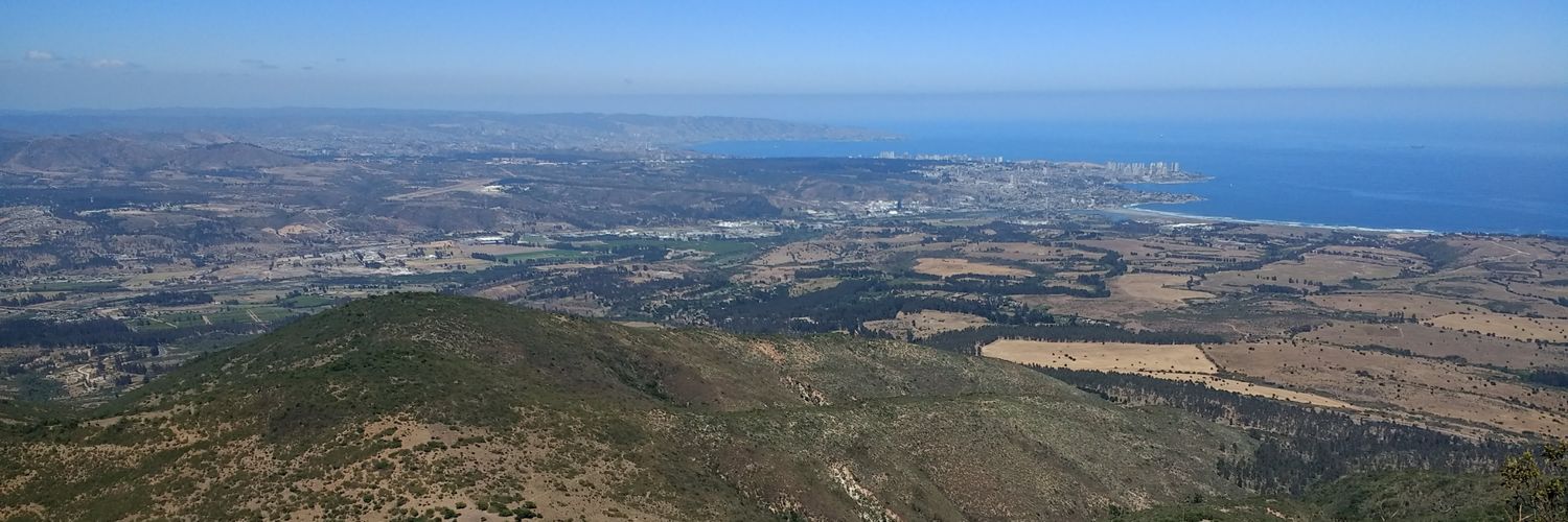 Pedro Gajardo banner