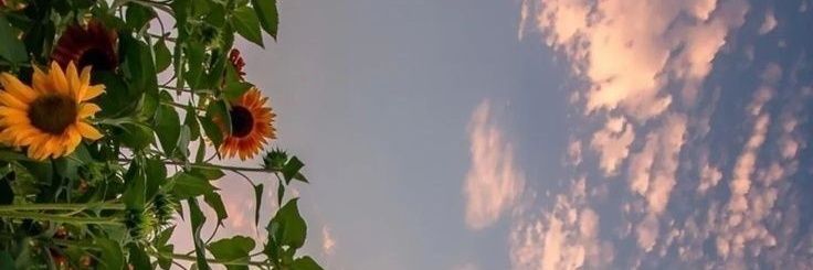 Deny_VF's profile banner image