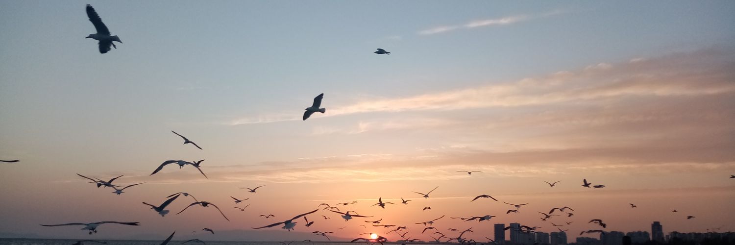 suleayaz's profile banner image