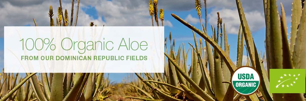 Forever UK, Ireland & Iceland banner