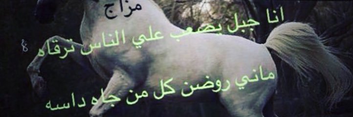 Mazjq8's profile banner image