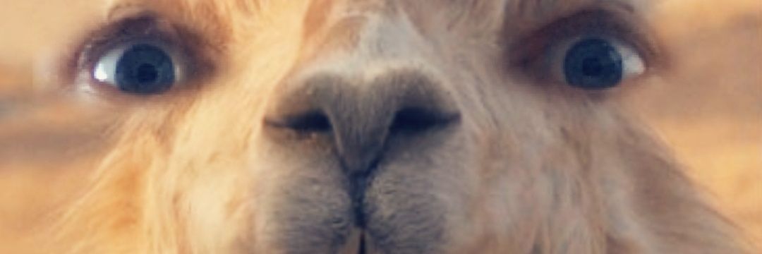 LeMaask's profile banner image