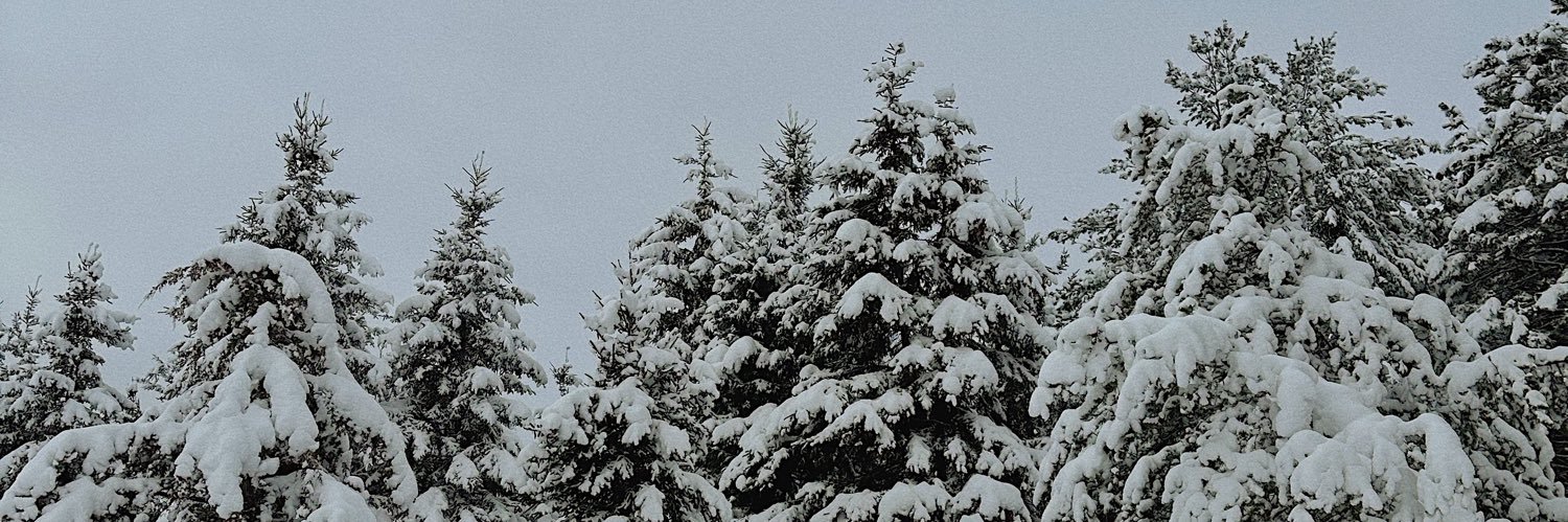 TaylorPotts_'s profile banner image