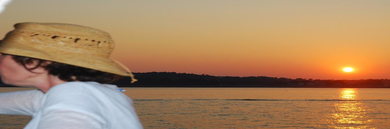 DavidPFlynn's profile banner image