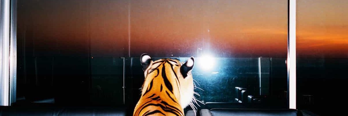 CaliceRelique18 banner