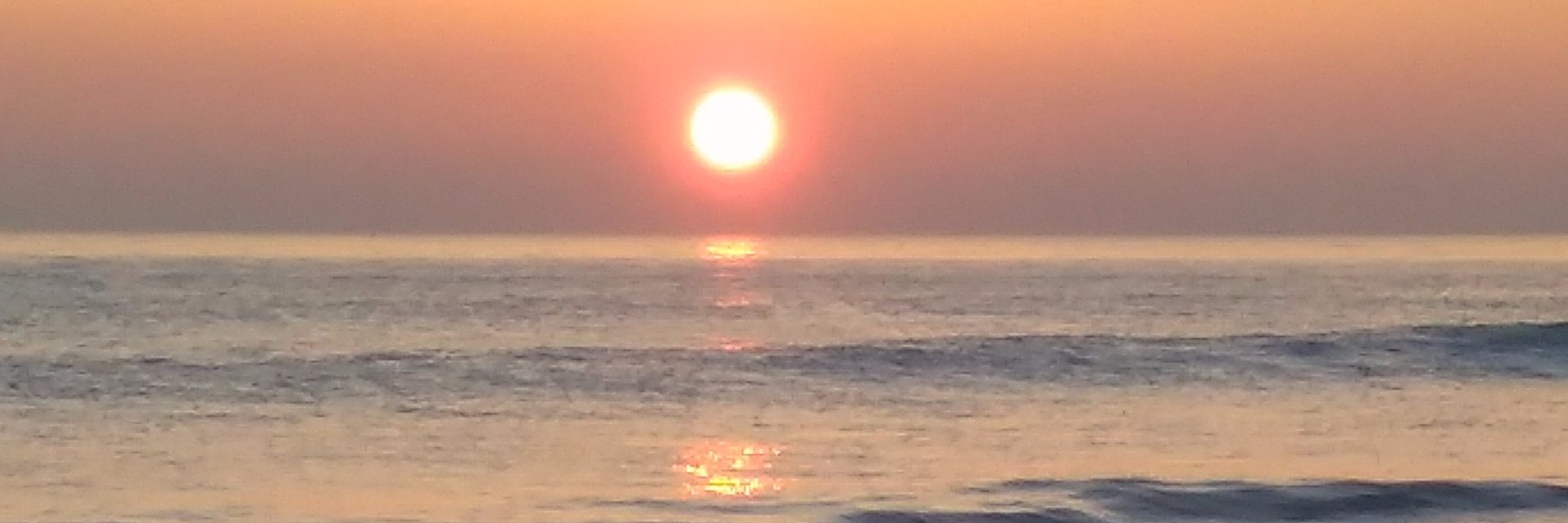 Peta Brown💙💙 banner