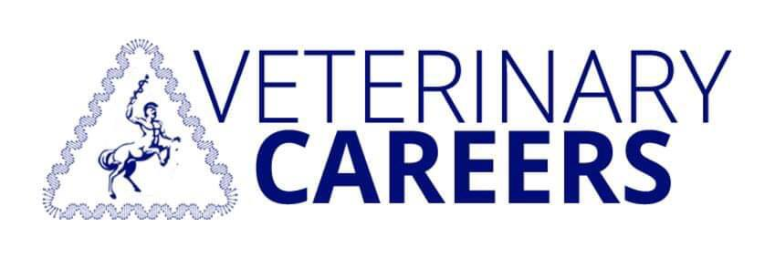 Emma Davis Vet Coach banner