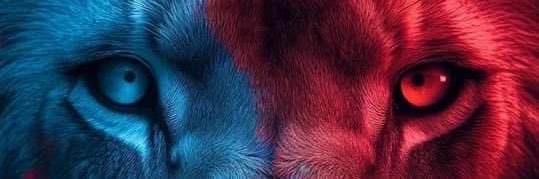 Almunami_'s profile banner image