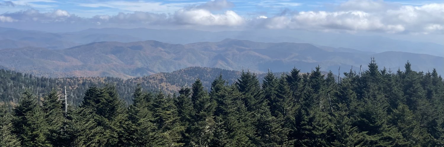 TennesseeTyra's profile banner image