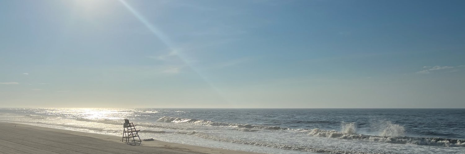 Megan Lafayette banner