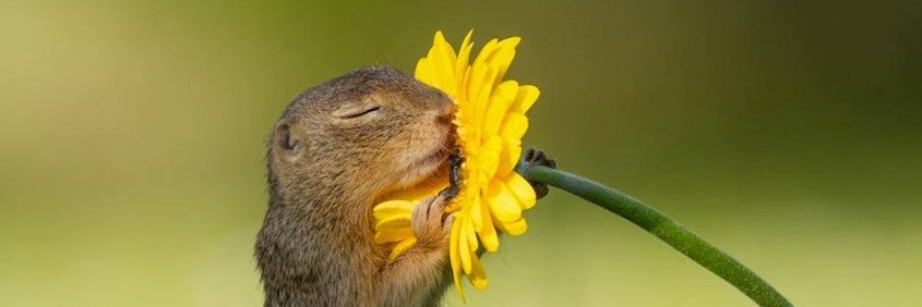 Sluggohill's profile banner image