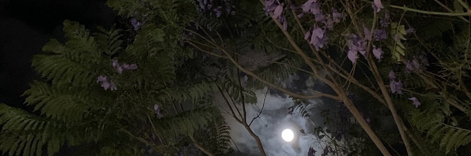 SnAtheer's profile banner image