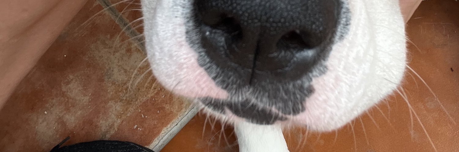RosaEscar's profile banner image