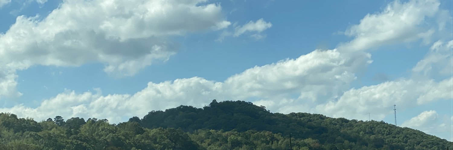 sweetbippy's profile banner image