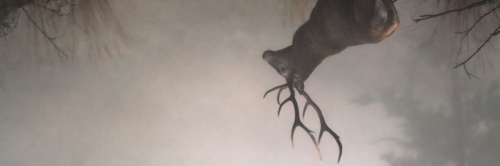 Lexputa's profile banner image