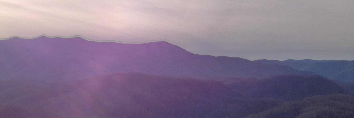 echols_hannah's profile banner image