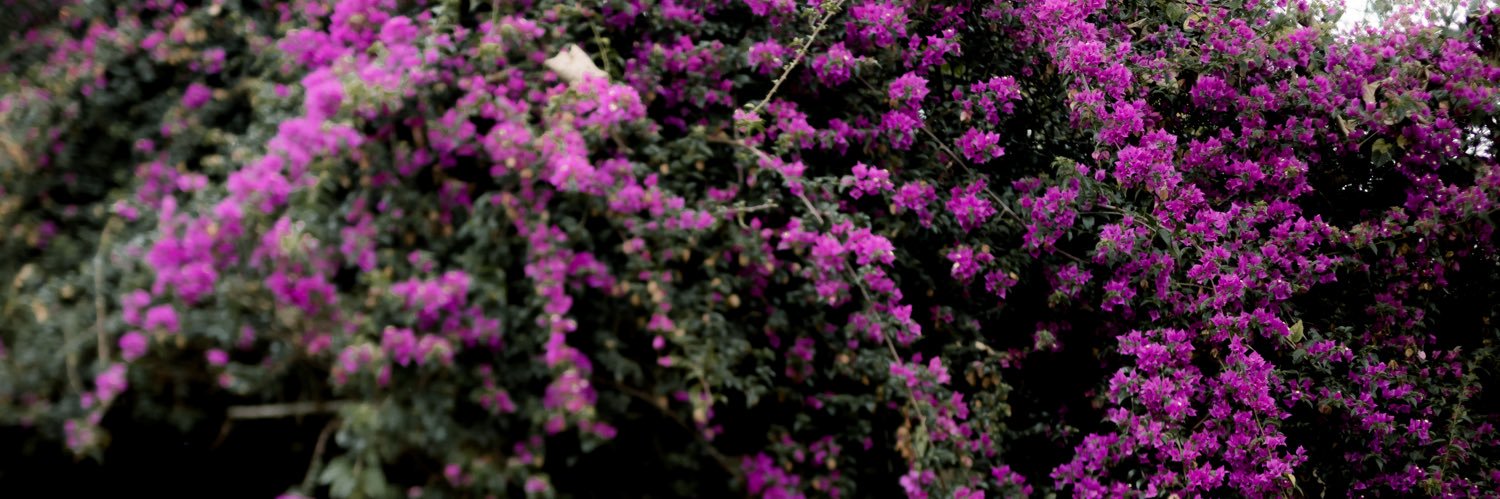 ayupaaa_'s profile banner image