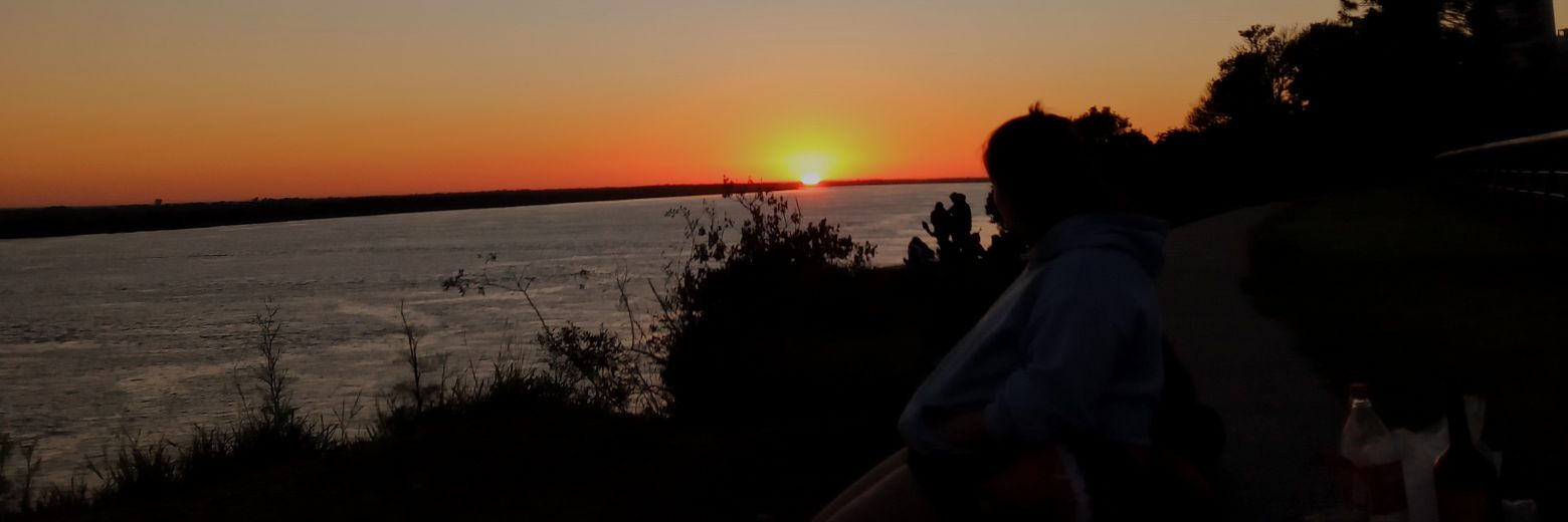 VikiEber's profile banner image