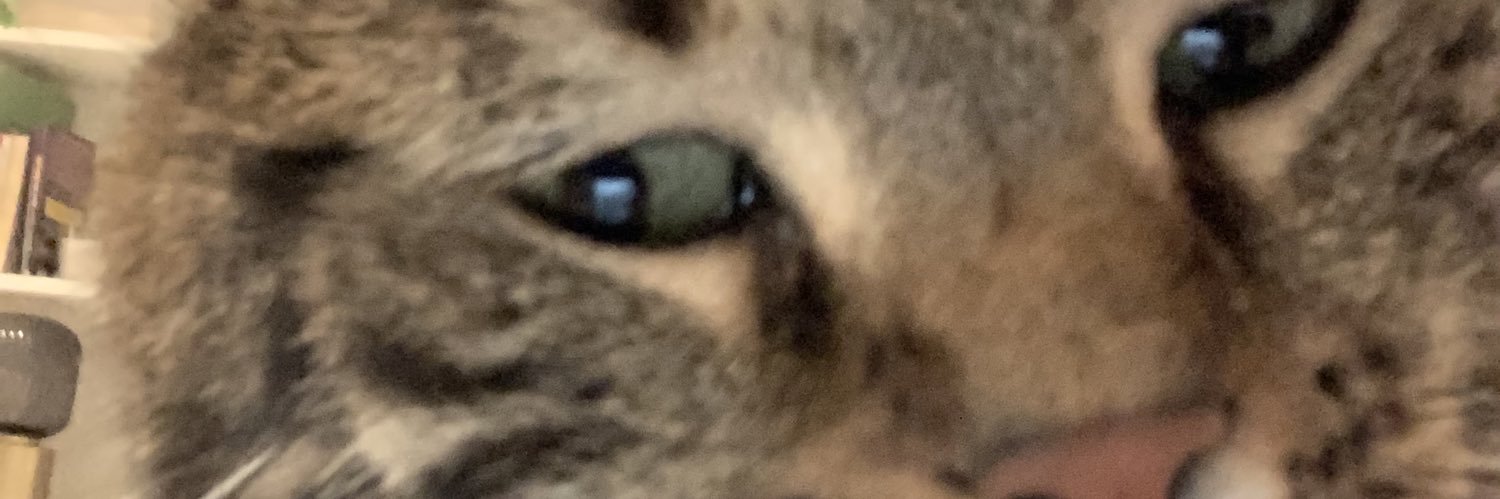 hugoltrr's profile banner image