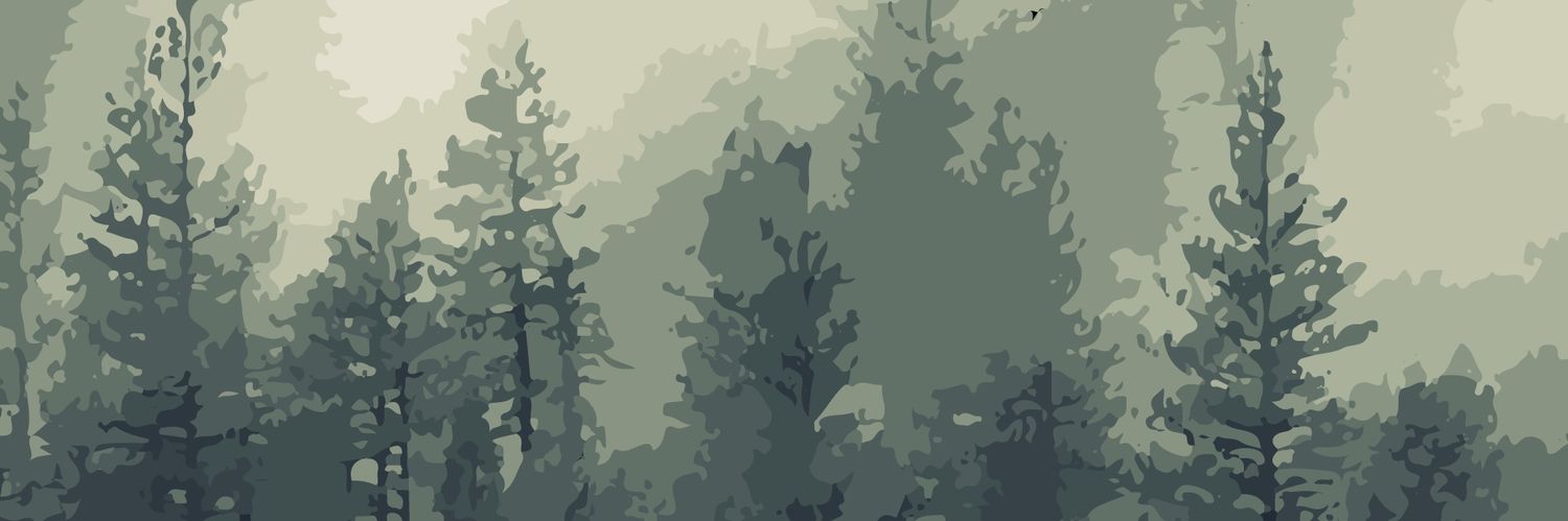 CarloFaverio's profile banner image