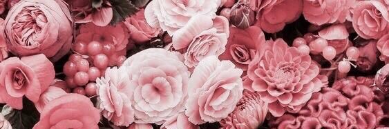 abrar7assan's profile banner image