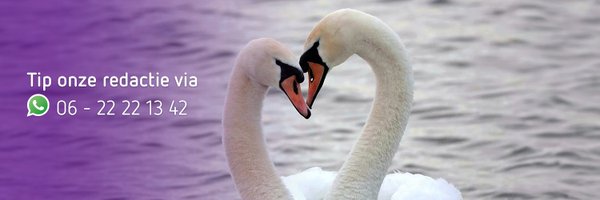 OmroepGLD Profile Banner