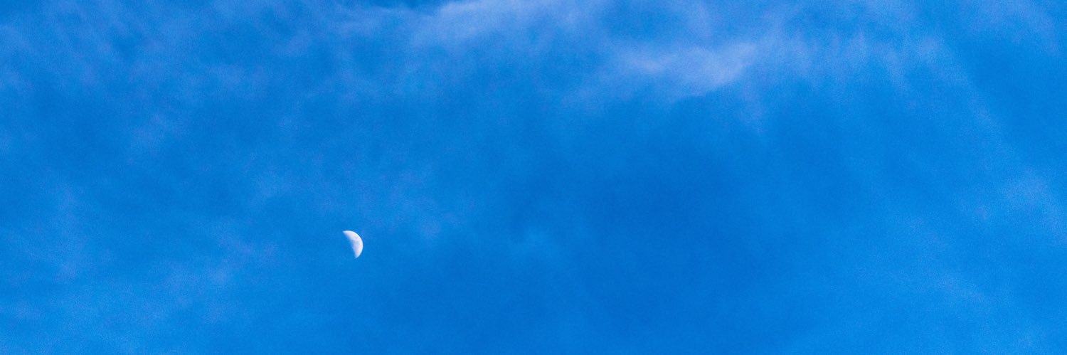 pandabeebe's profile banner image