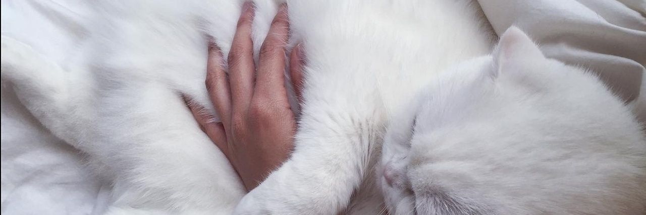 BH_Snoozy's profile banner image