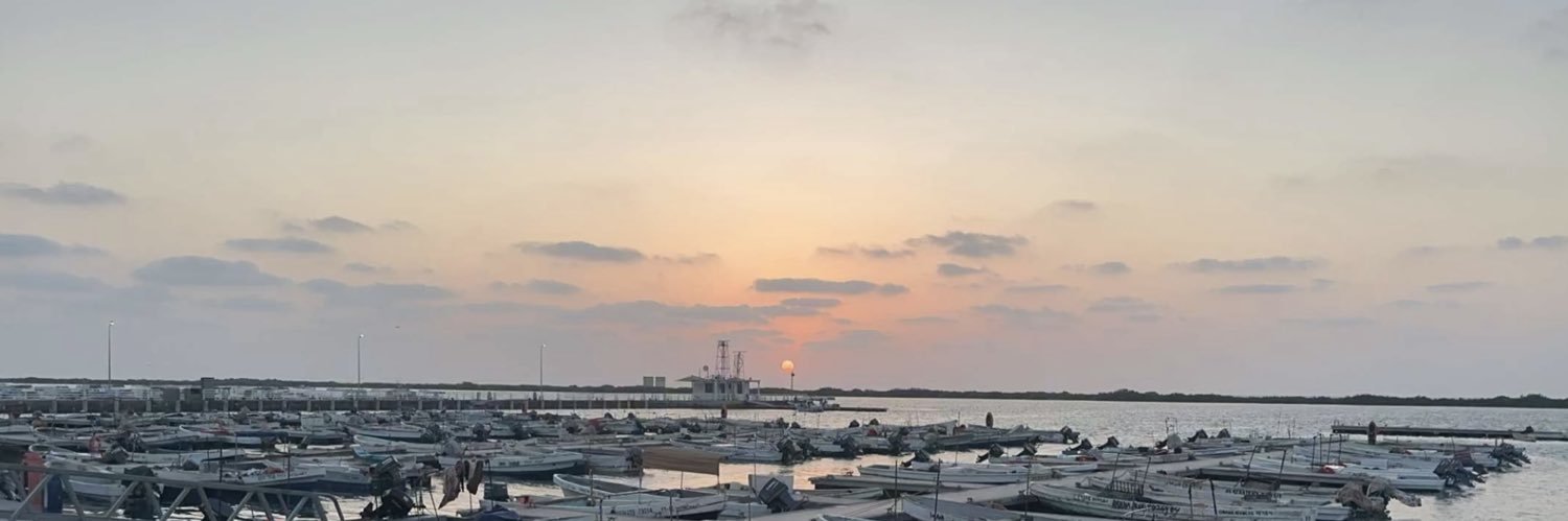 naifm7m's profile banner image