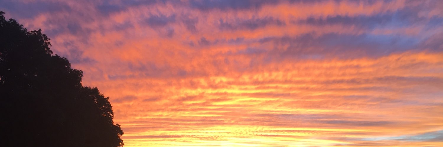 danajox3's profile banner image