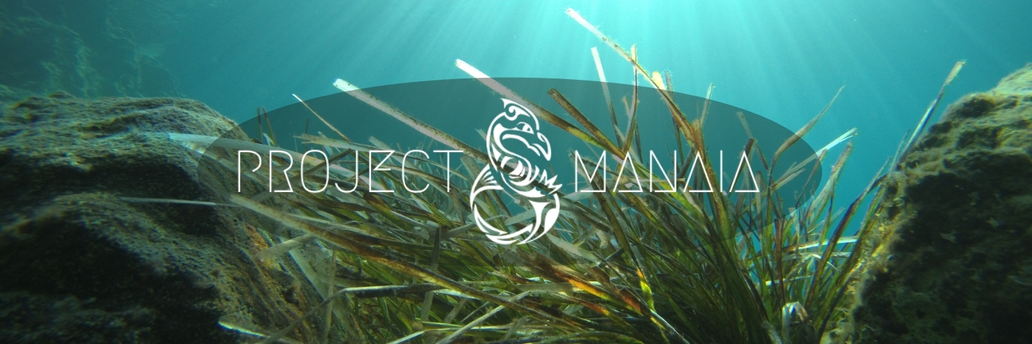 Project Manaia banner