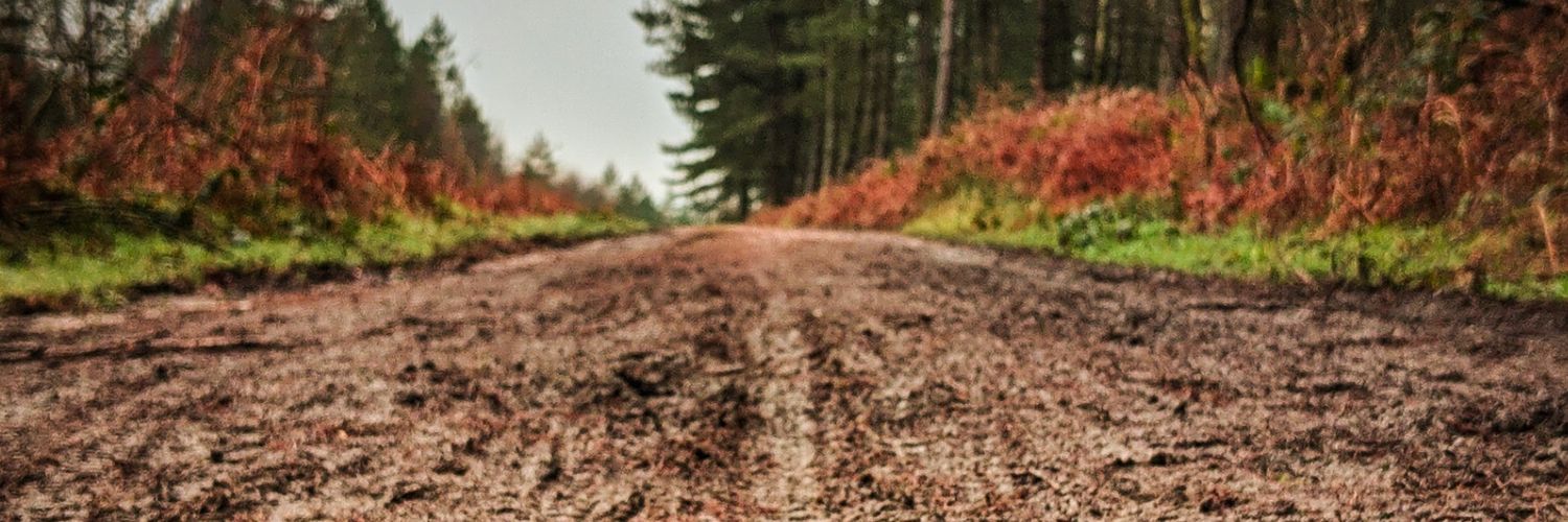 TomKlages's profile banner image