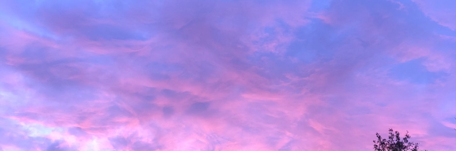 vcraps's profile banner image